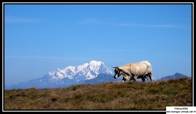 Le Mont Blanc vu depuis le massif des Grandes Rousses