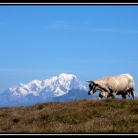 Le Mont Blanc vu depuis le massif des Grandes Rousses