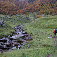 Vallon d'Espélunguère