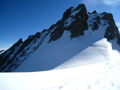  Au sommet d'hiver du Rimpfischhorn, vue sur le sommet principal, là haut !
