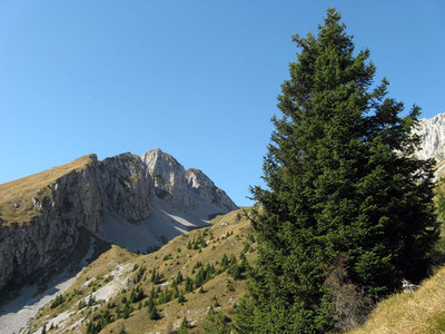 Il Pizzo di Corzene e la Valle dell'Ombra salendo alla Presolana. Il Pizzo di Corzene e la Valle dell'Ombra salendo alla Presolana.