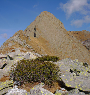 Poncione Rosso  2505 m versante  Sud nei pressi della Forcarella di Lodrino.