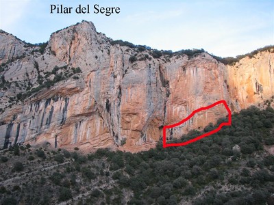 Le secteur des voies d'initiation Le secteur des voies d'initiation