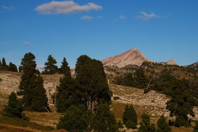 Le Grand Veymont depuis Les Bachassons Le Grand Veymont depuis Les Bachassons