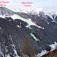 La salita al Dosso Tacher 2093 m, vista  dall'Alpe Canale 1805 m.