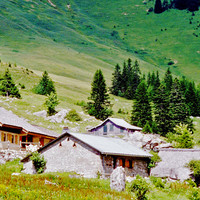 L'alpage d'Ubine