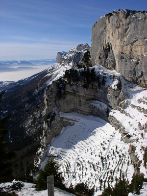 Le cirque vu du haut