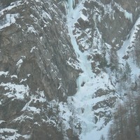 Fracastorus