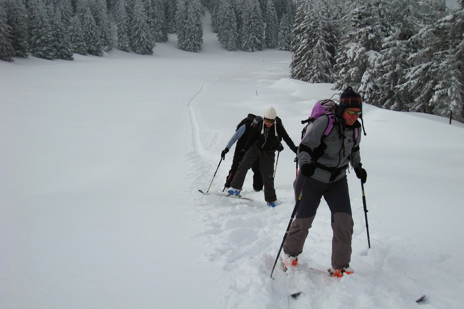 Petit passage de faux-plat montant dans la descente vers les Roches Eboulées