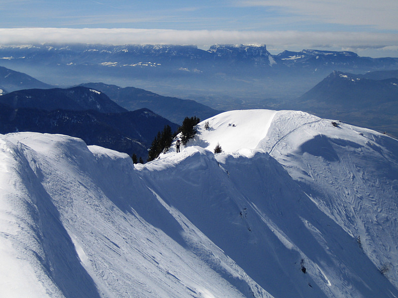 Sur la crête sur fond de Chartreuse