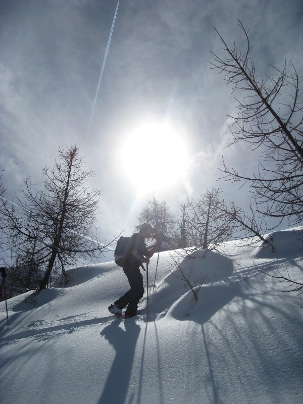 Dans les clairières du Mounin au Fou