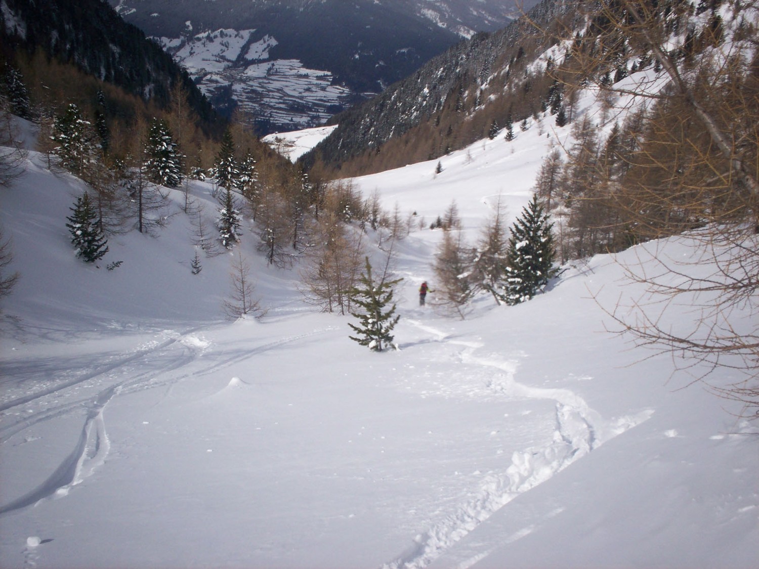 Scendendo dalla Cima di Stilves. In azione nella polvere.