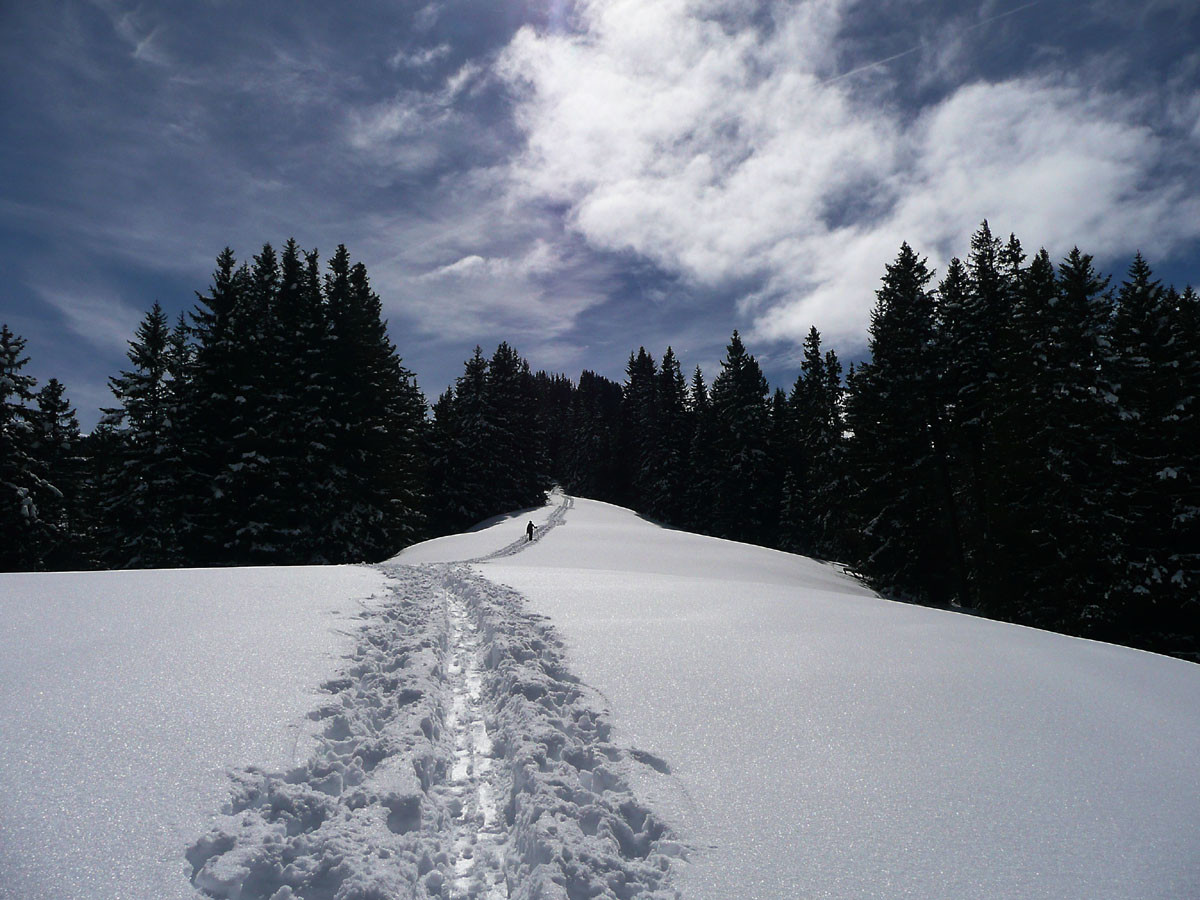 Croupe Nord du Niderhorn