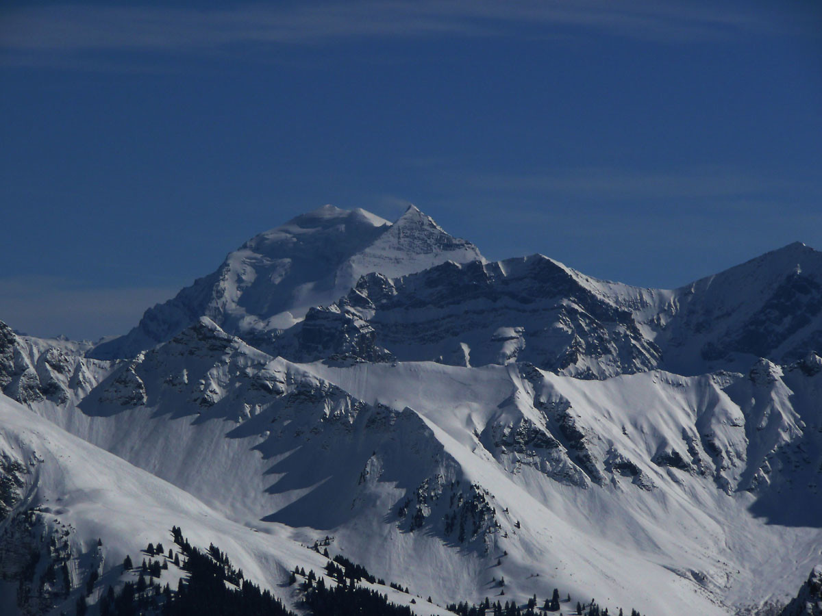 Balmhorn et Altels vus du Niderhorn