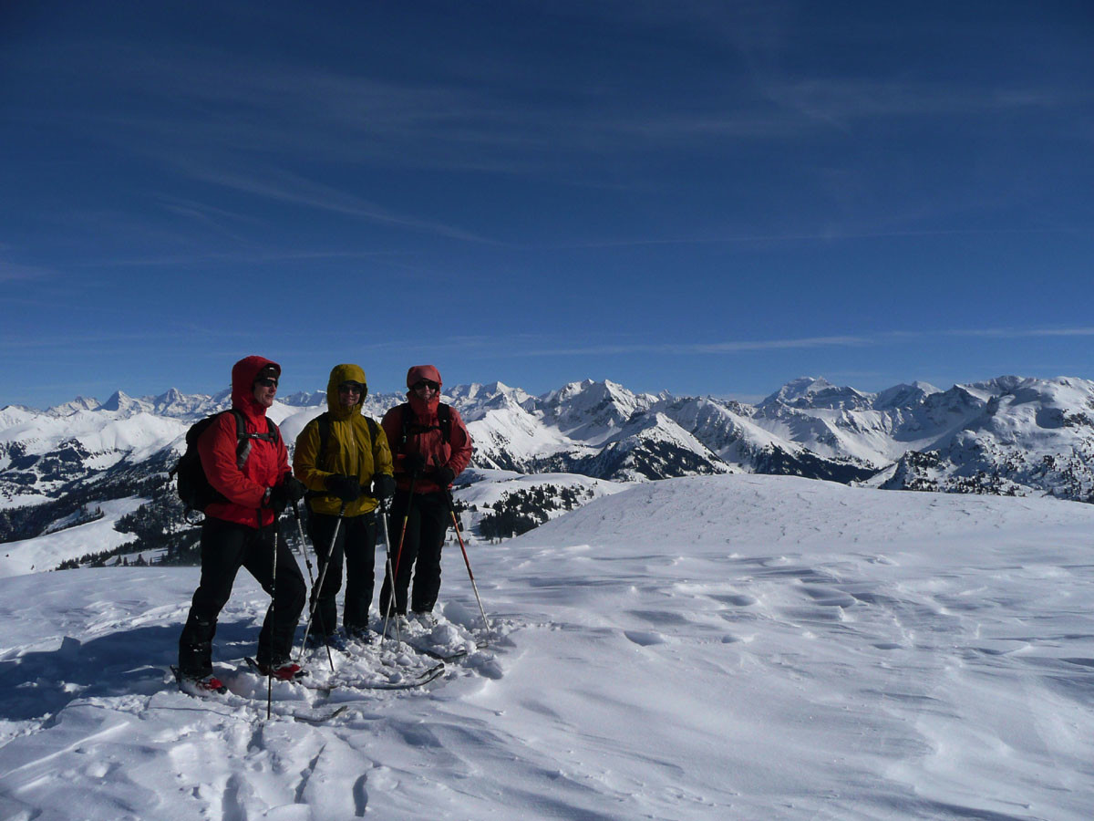 Vue sur l'Oberland depuis le Niderhorn