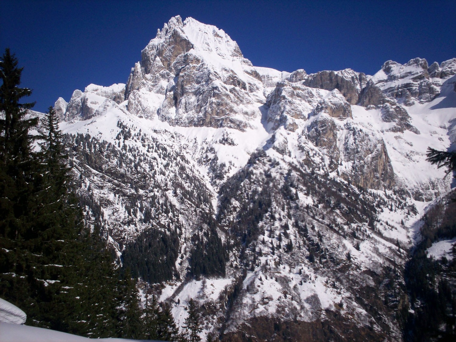 Salendo al Bodnerberg. Vista sul gruppo del Tribulaun.