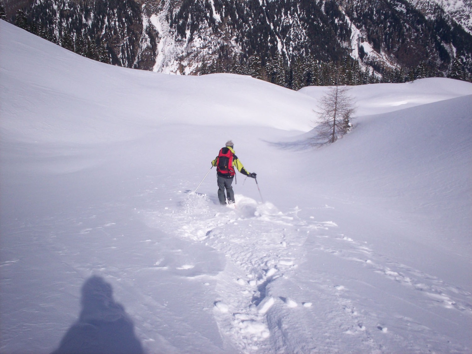 Scendendo dal Bodnerberg. Quasi dispiace lasciar segni.