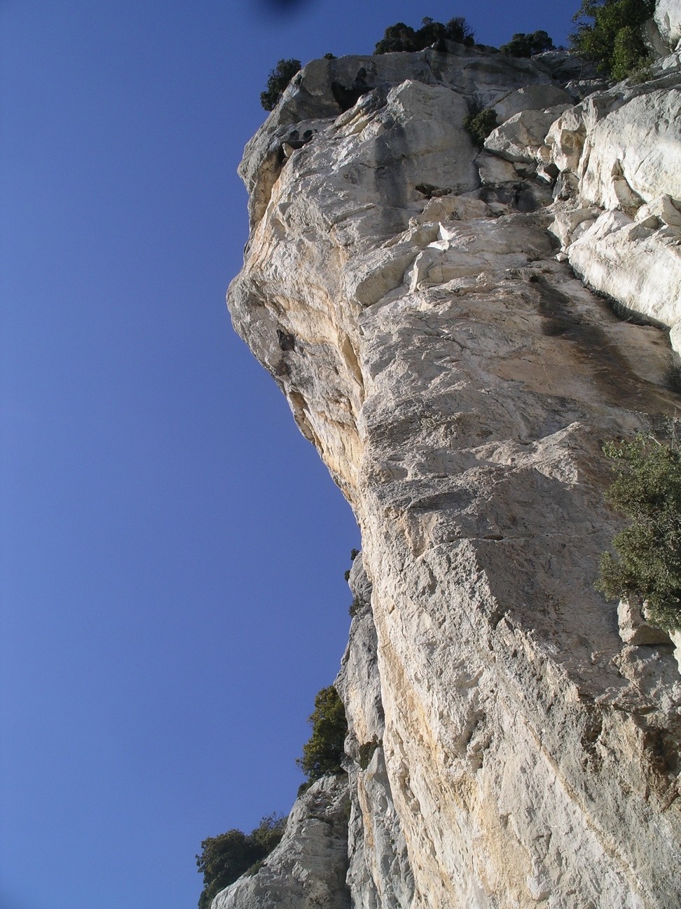 La Proue du Navire