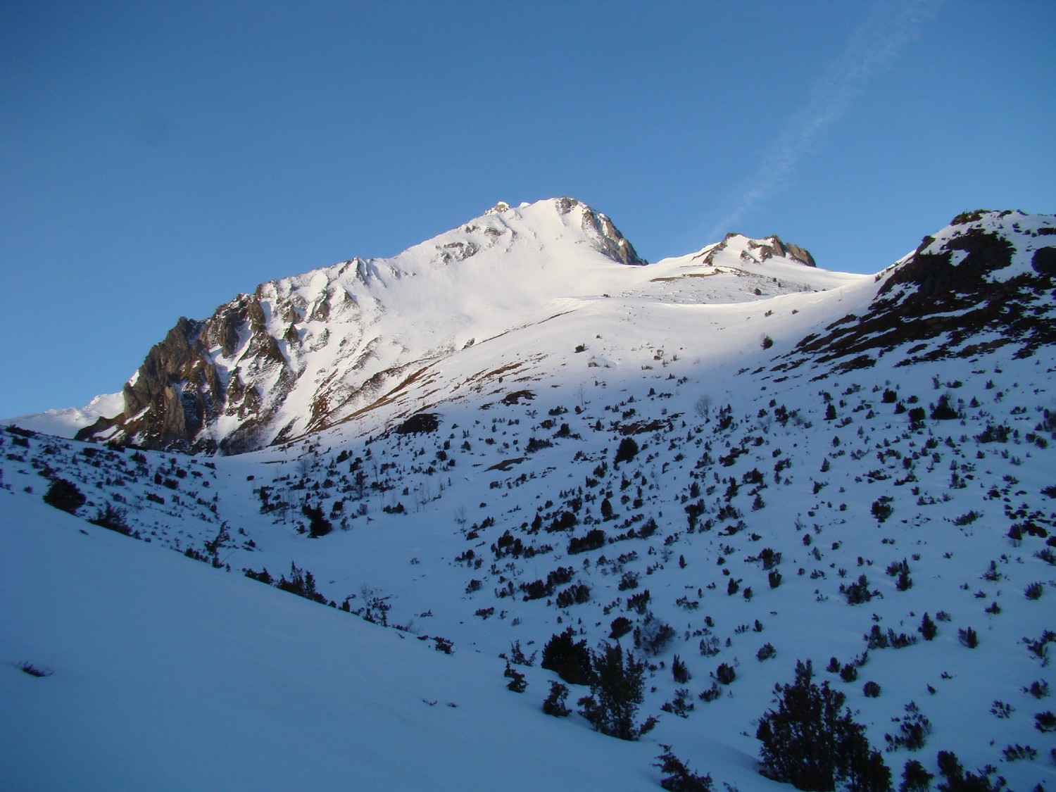 L'Omi Agut