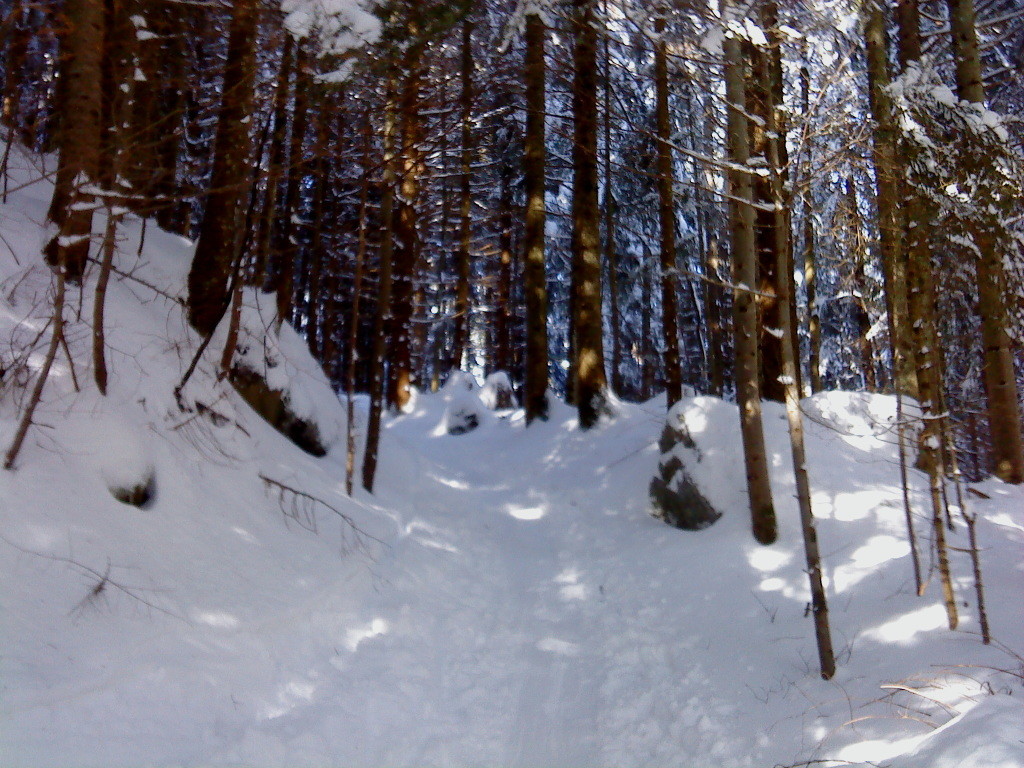 Montée par le sentier pédestre