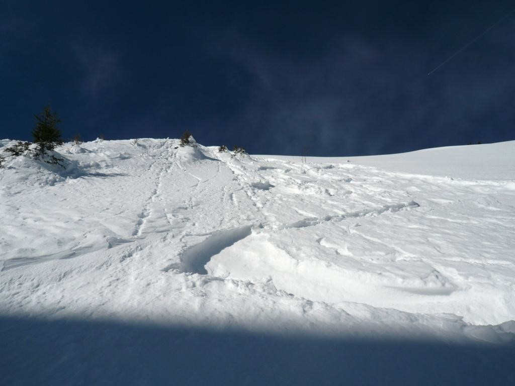le haut de la face en poudreuse profonde