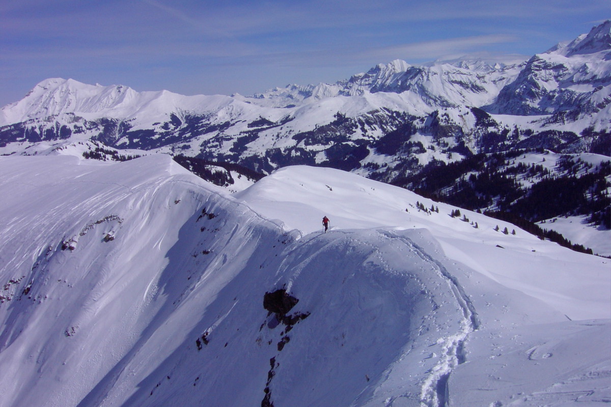 sur l'arête cornichée