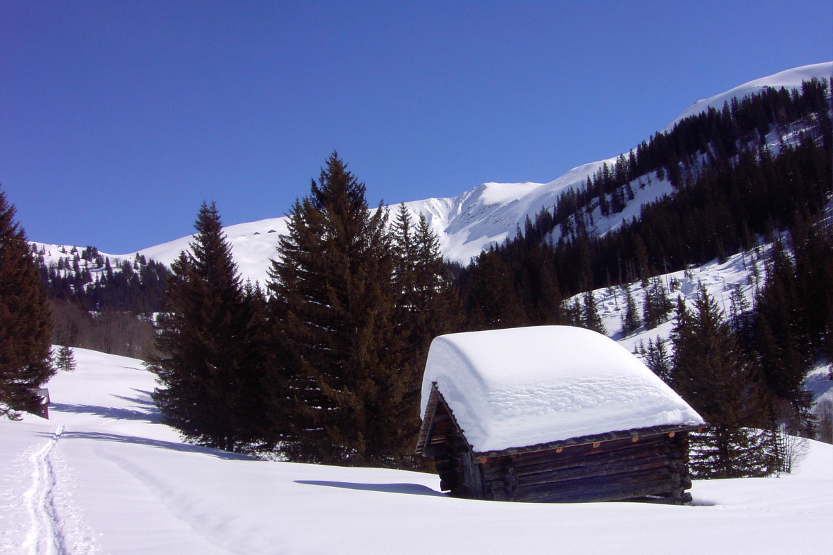 vallon de Müllibach