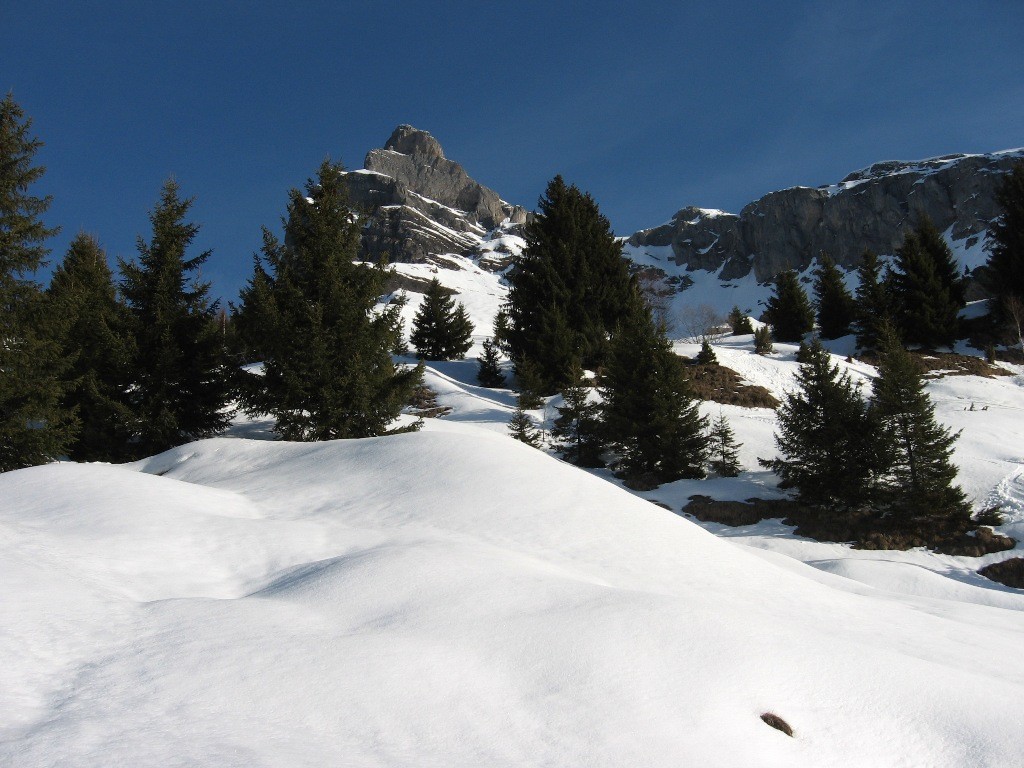 Aiguille de Varan objectif du jour.