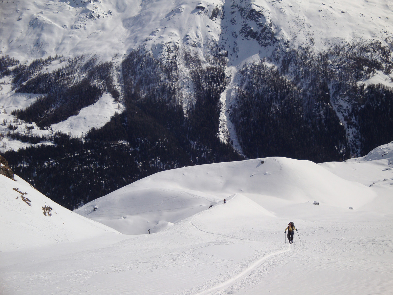Montée aux Louèrettes