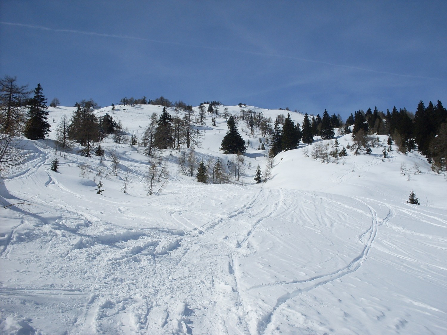 Fuori dal bosco, a q circa 1700 m