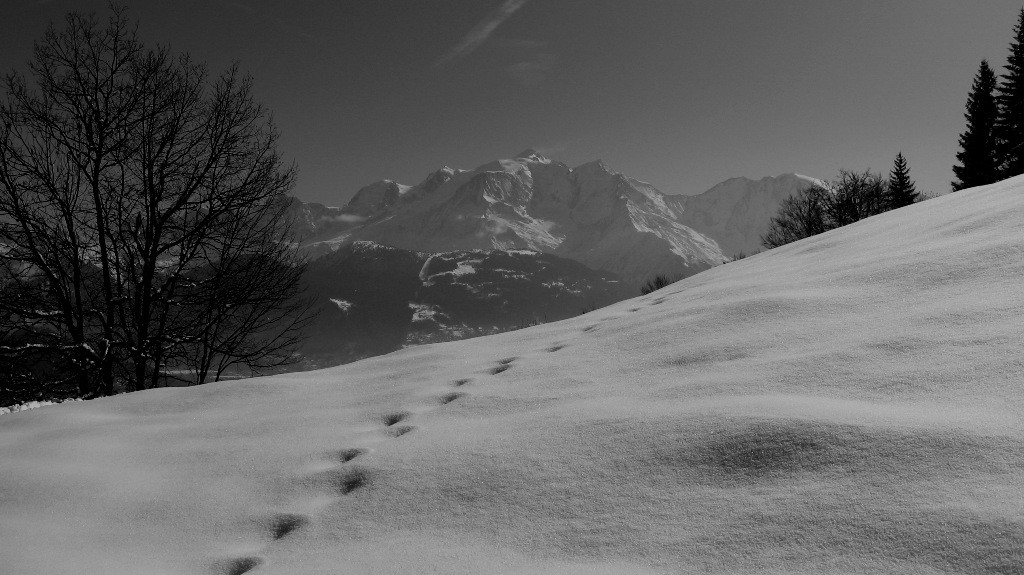 Mont (noir et ) Blanc