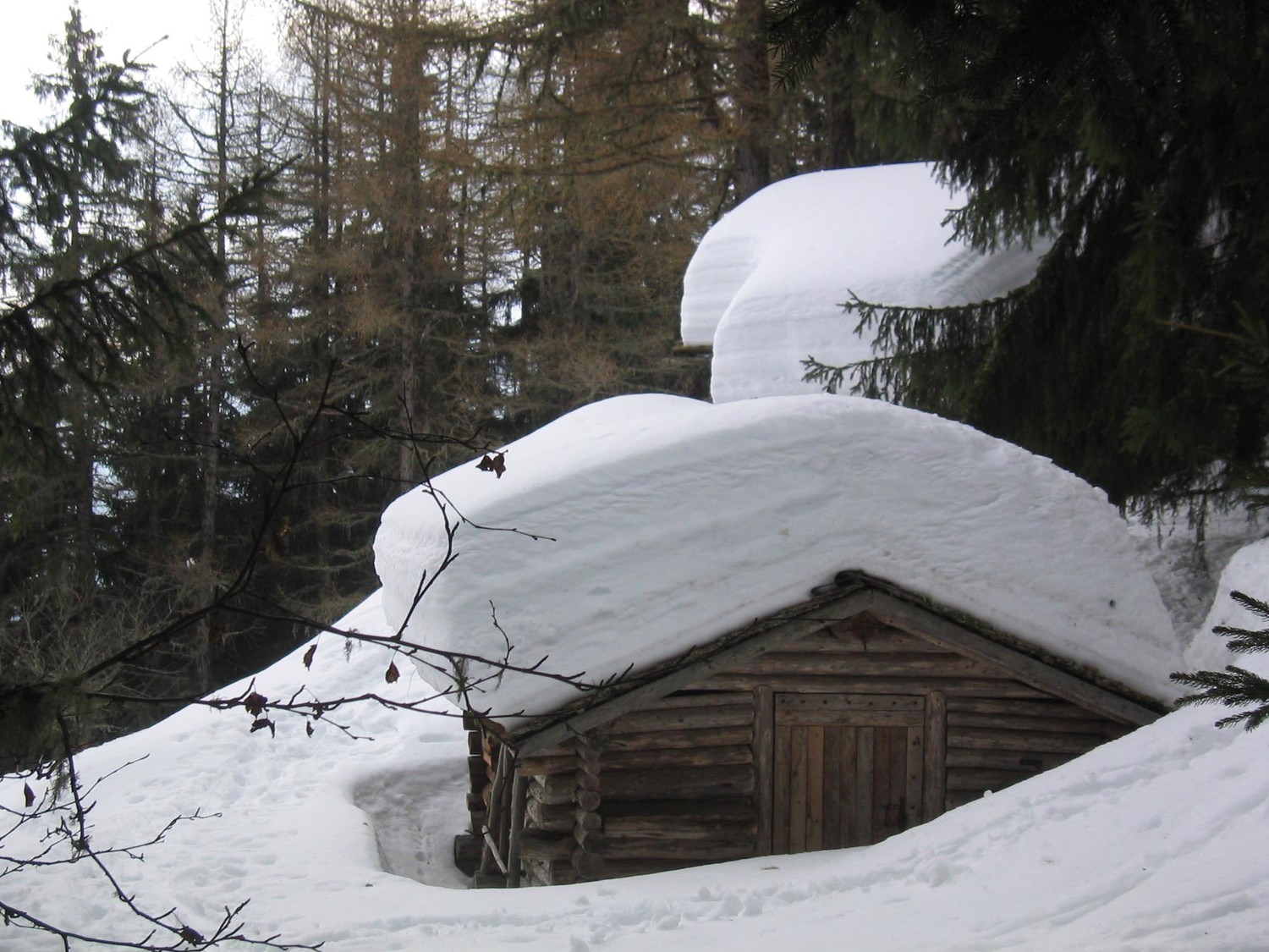 Que de neige cet hiver...