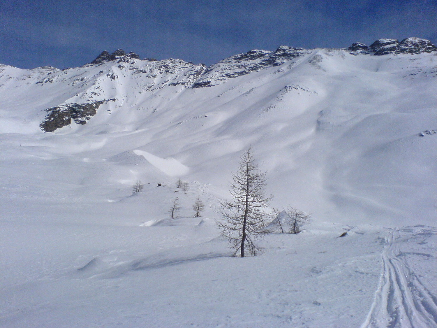 trop beau!