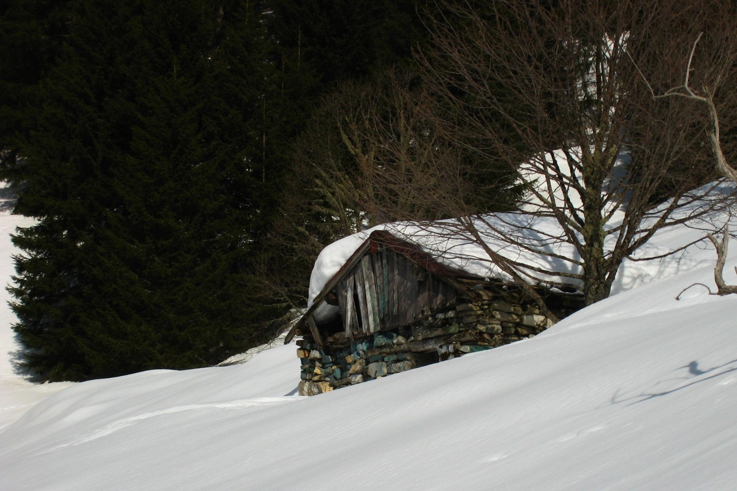 Cabane dans la Combe Madame