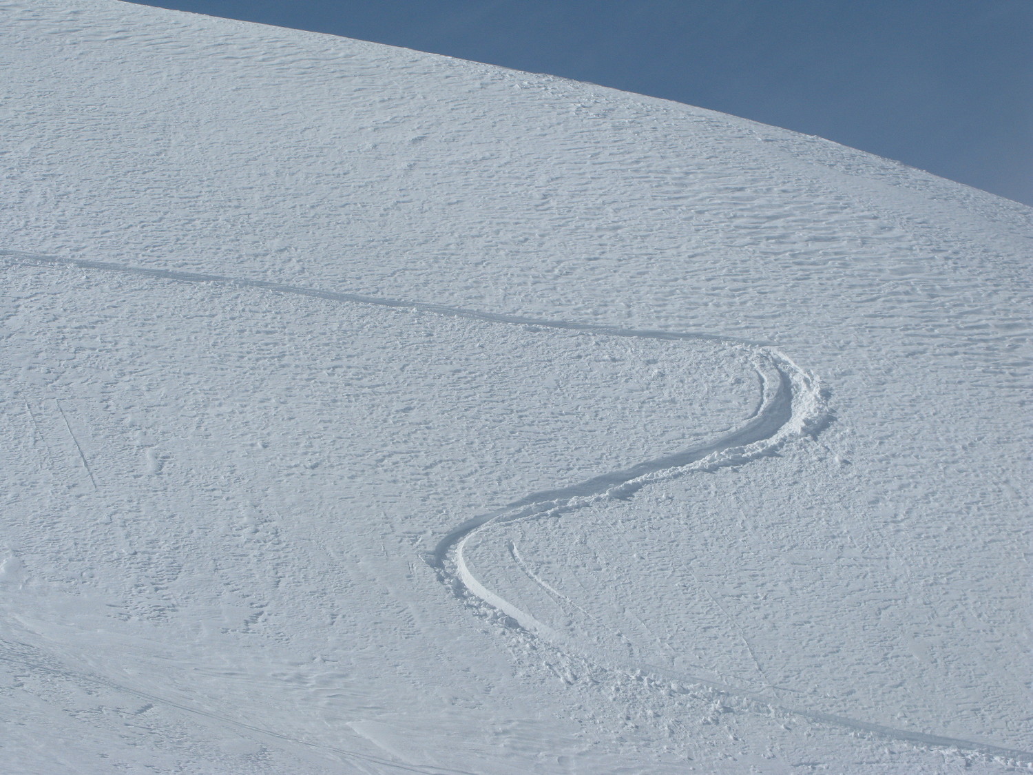 Serpent de neige ...