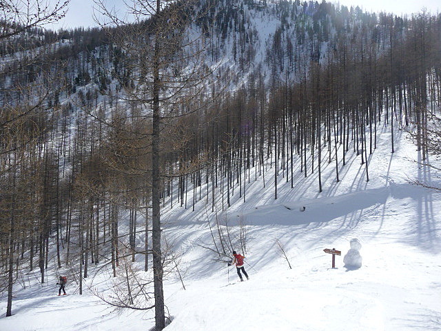 La forêt
