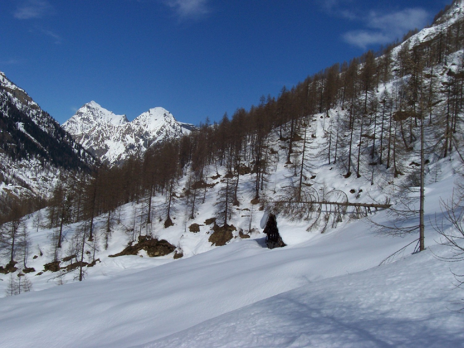 Curiosità della Val Vogna