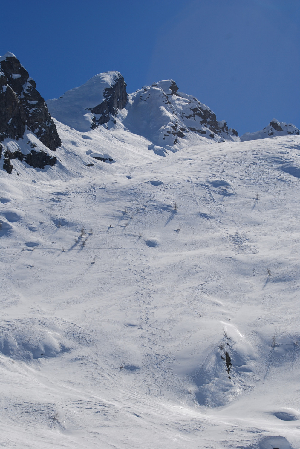 Il tratto migliore di oggi con neve polverosa.