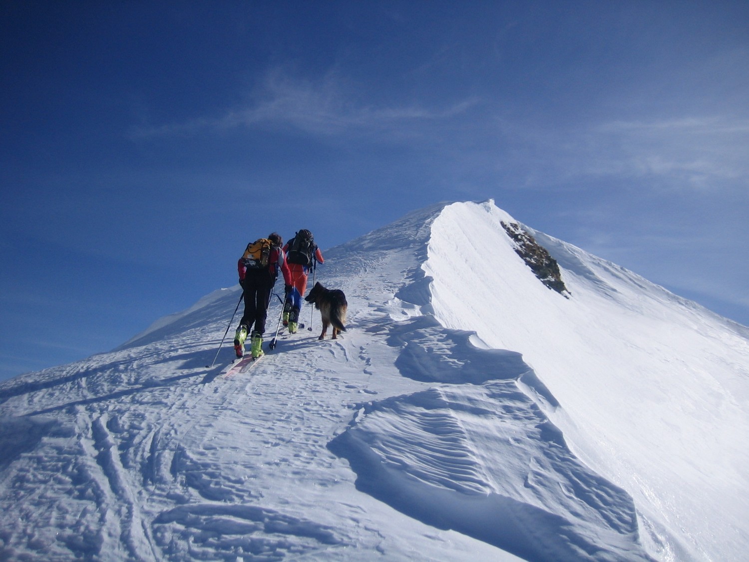 verso la cima di lemma