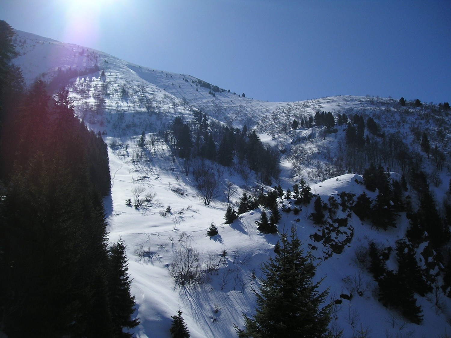 1700m, on sort de la forêt