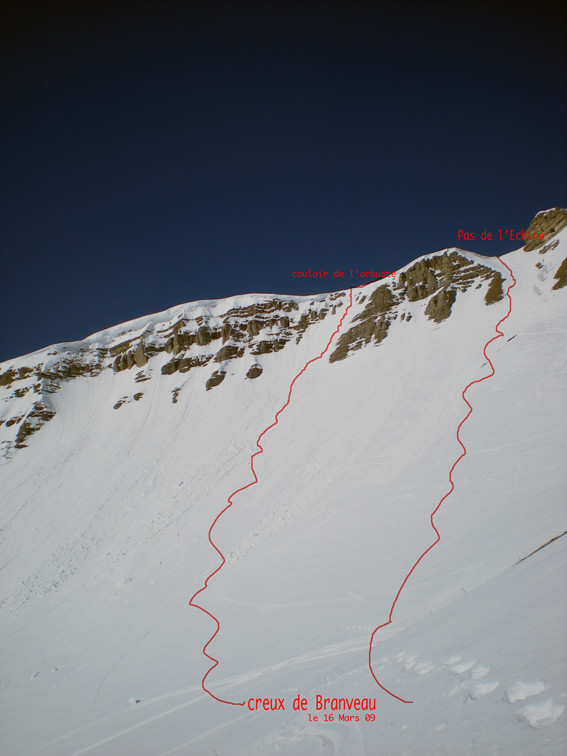 couloir de l'arbuste