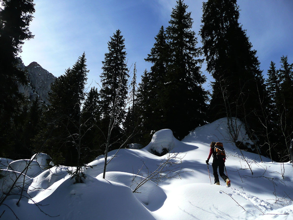 Forêt chaotique après la Minutse, traversée Jaun - Rougemont