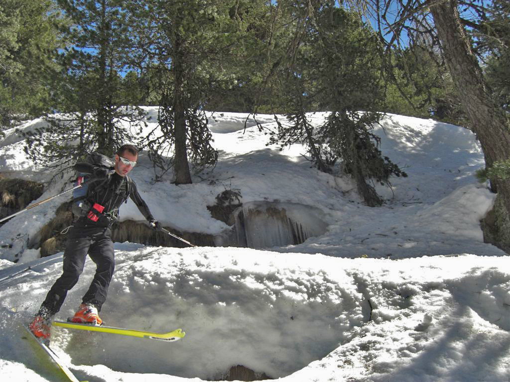 Descente dans les pins