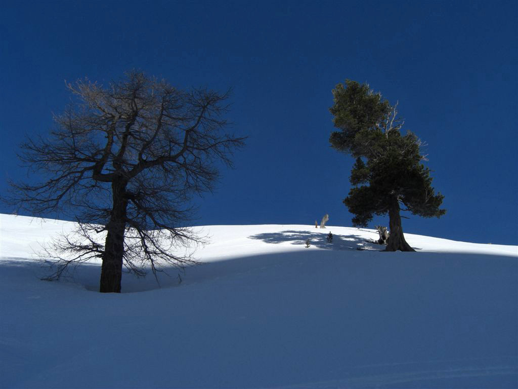 Naturellement BEAU