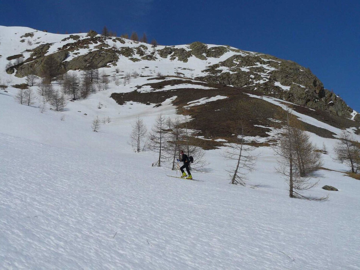 neige...et herbe