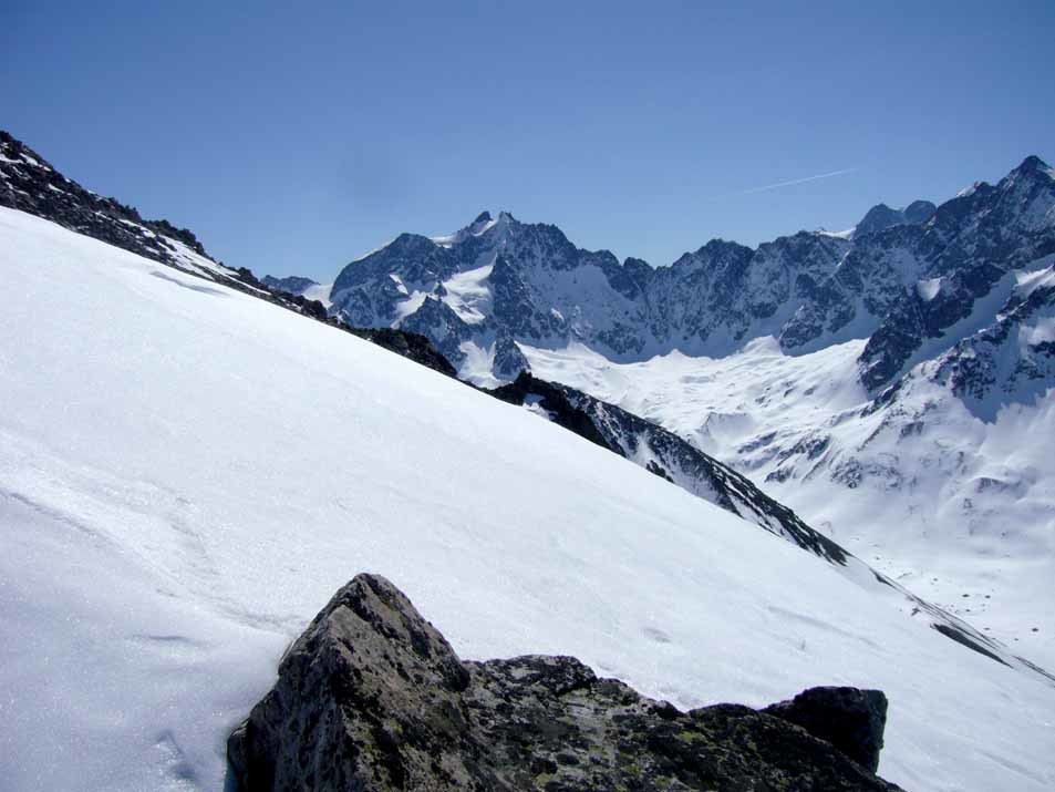 les agneaux