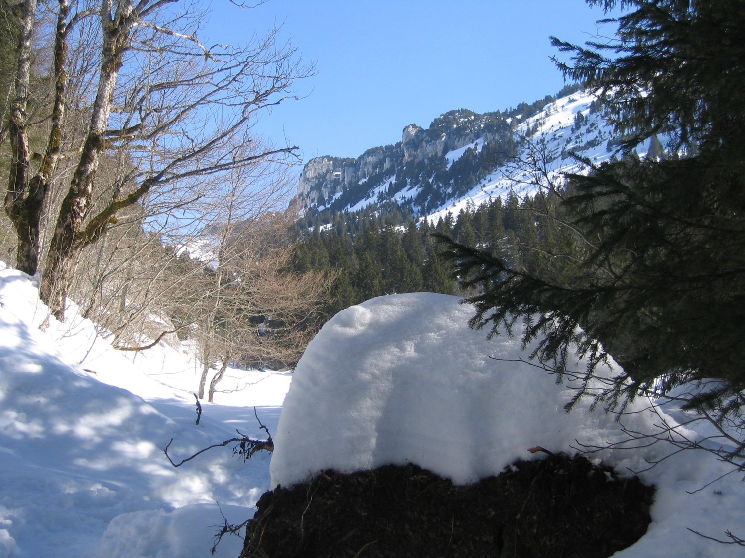 entrée du vallon de pratcel
