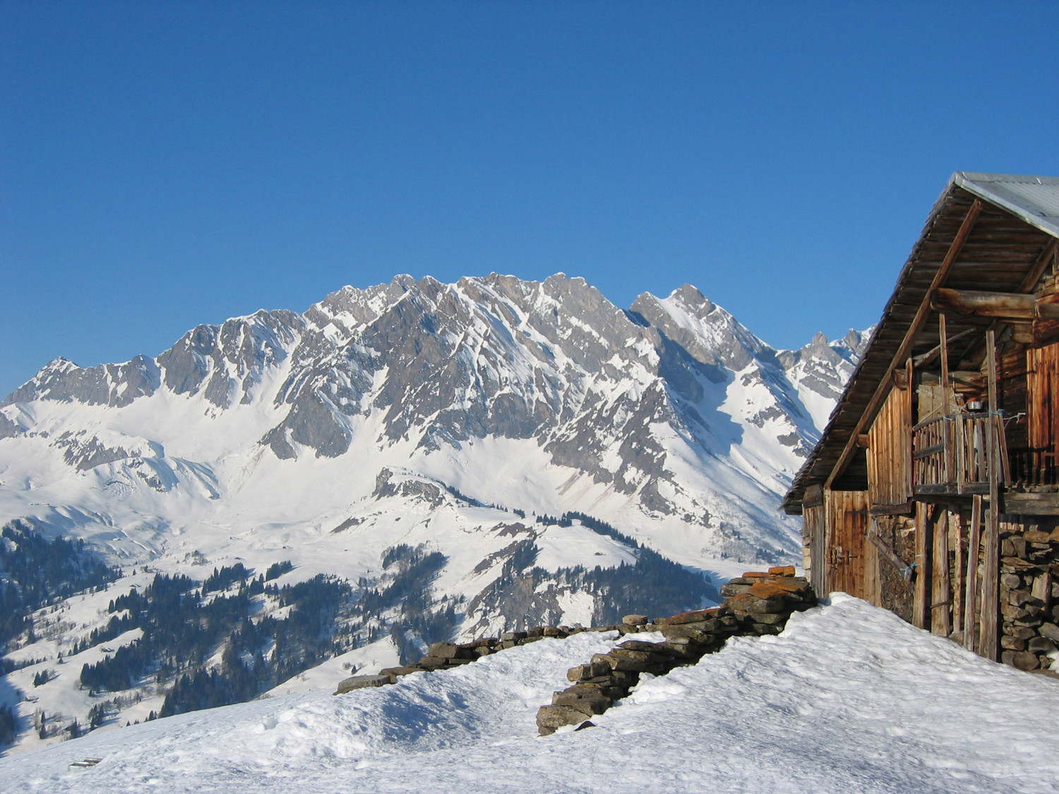 Chalet savoyard sur fond de blonnière/etale