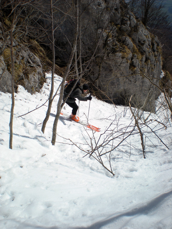 Sylvain dans la jungle