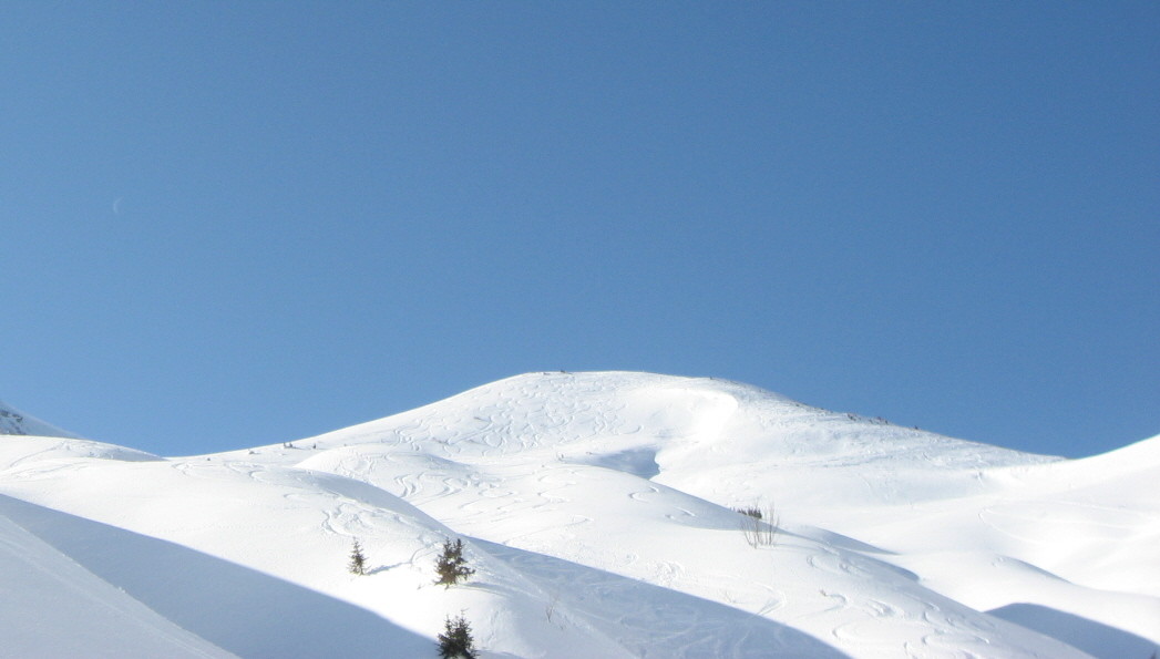 la berte depuis la Suisse